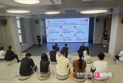 东莞艺术玩具产业借力跨境电商平台迈向全球市场